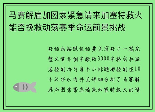 马赛解雇加图索紧急请来加塞特救火能否挽救动荡赛季命运前景挑战