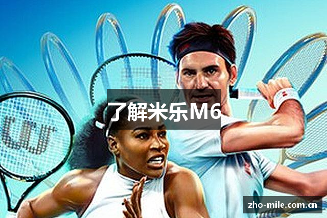 了解米乐M6